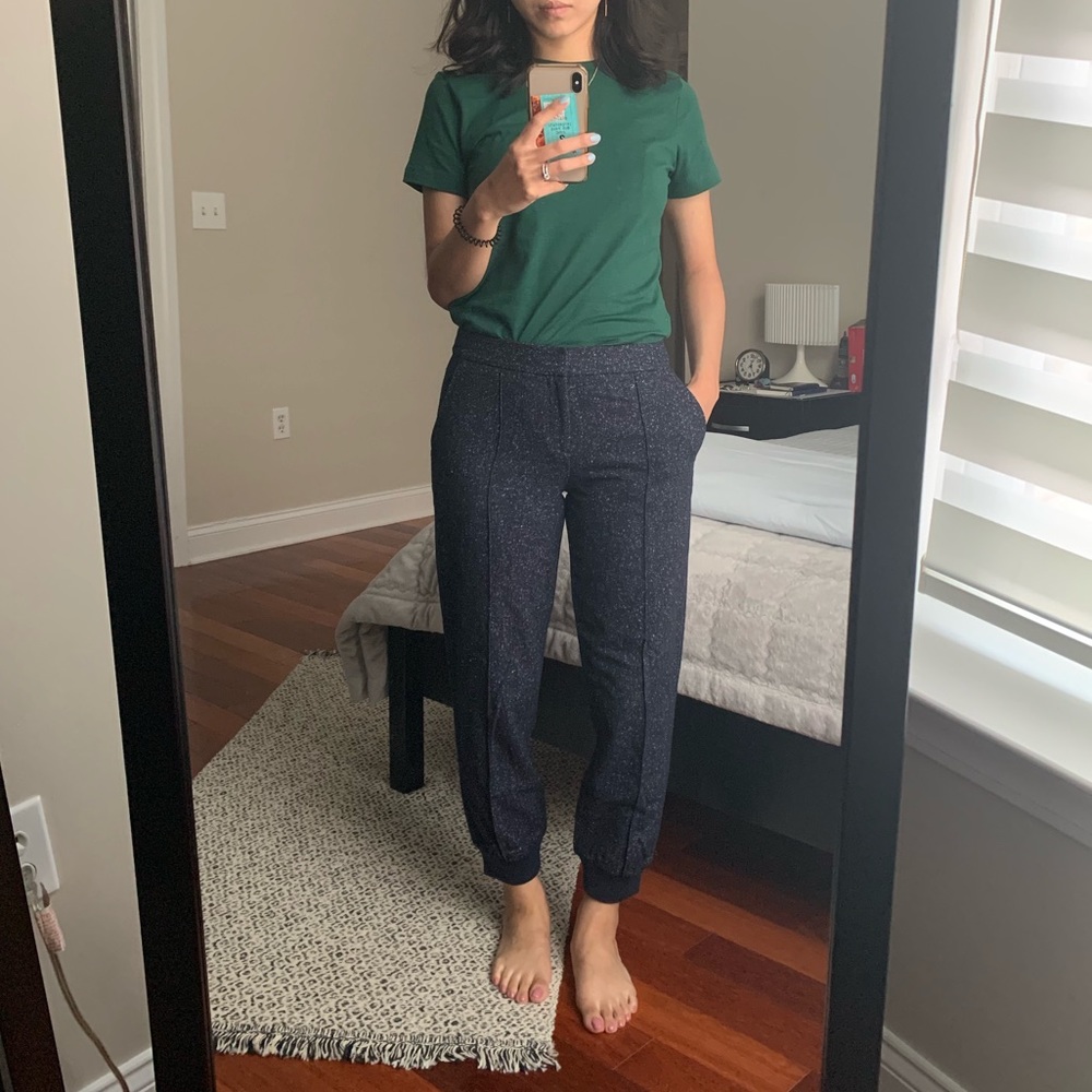 Club Monaco wool jogger